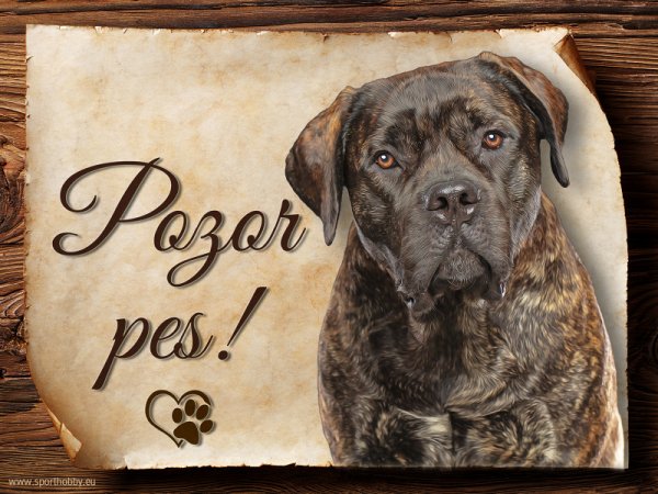 Cedulka Boerboel - Pozor pes